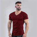 camiseta masculina lisa gola V
